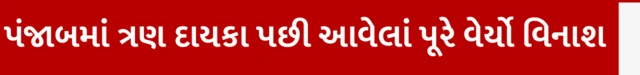 પંજાબમાં ત્રણ દાયકા પછી આવેલાં પૂરે વેર્યો વિનાશ, દિલ્હીમાં જળભરાવ, પંજાબમાં પૂર, હિમાચલ પ્રદેશ અને જમ્મુ કાશ્મીરમાં પૂર જળભરાવ, ગ્લોબલ વોર્મિંગ, ક્લાઇમેટ ચેન્જ, હવામાનની પેટર્ન, ગુજરાતમાં ફેરફાર, બીબીસી ગુજરાતી સાથે સમજો, બીબીસી ગુજરાતી