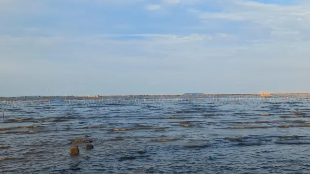 Pemandangan pagar laut dari jauh.