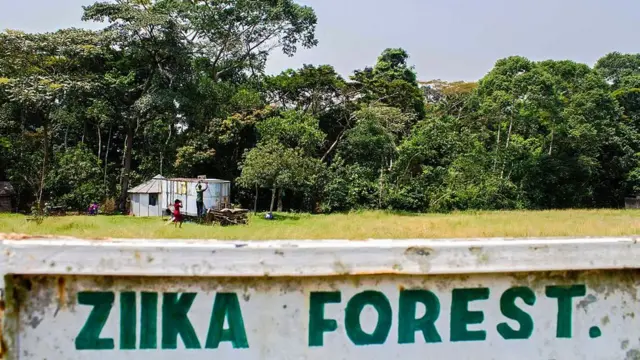 यूगांडा का ज़ीका जंगल