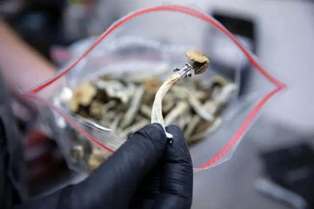 Дошло је до налета истраживања о терапеутској употреби психоделика као што је псилоцибин, који може да се нађе у магичним печуркама