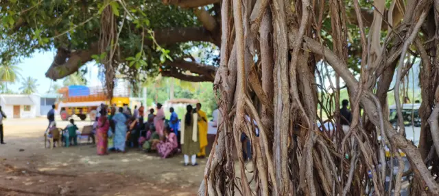 வாச்சாத்தி வழக்கு