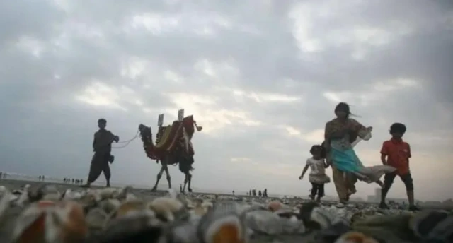 ਪੁਲਿਸ ਦਾ ਕਹਿਣਾ ਹੈ ਕਿ ਜੋੜੇ ਨੇ ਦੱਸਿਆ ਕਿ ਉਹ ਕੋਈ ਰਾਹ ਭੁੱਲਣ ਕਰਕੇ ਭਾਰਤ ਨਹੀਂ ਪਹੁੰਚੇ, ਸਗੋਂ ਆਪ ਇੱਥੇ ਆਉਣਾ ਚਾਹੁੰਦੇ ਸਨ (ਸੰਕੇਤਕ ਤਸਵੀਰ)