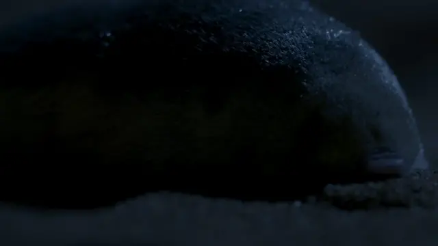 Planet Earth II