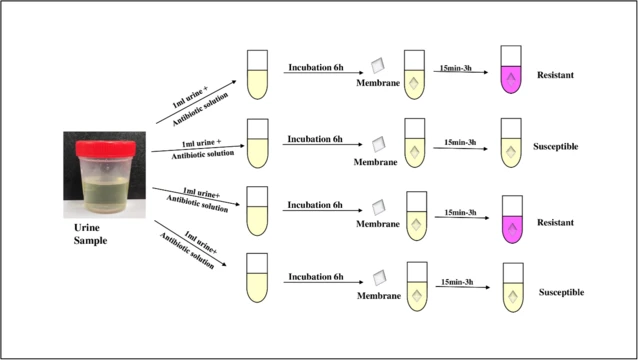 U-AST ਦਾ ਚਿੱਤਰ