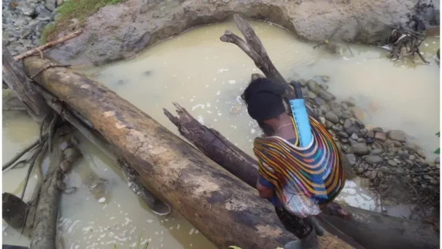 tambang emas ilegal papua