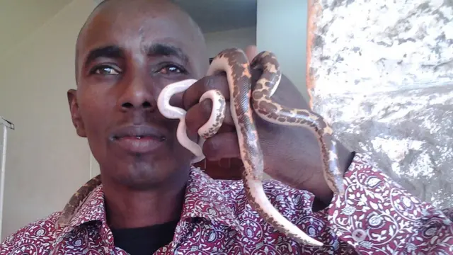 David Musyoka boa yılanıyla