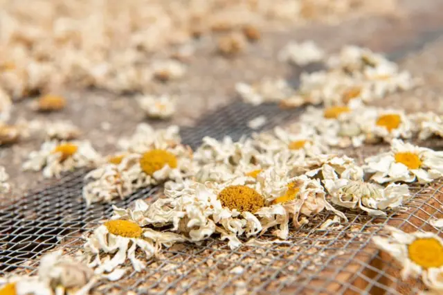 جایزه عکاسی سونی