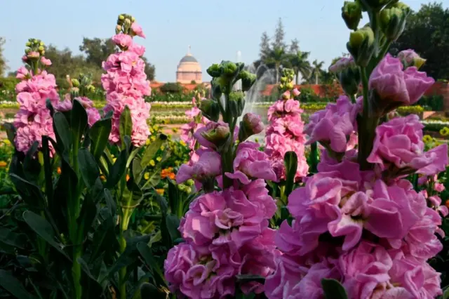 दिल्ली का मुग़ल गार्डन