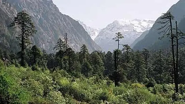 சிக்கிம்