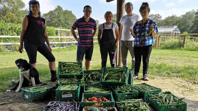 शाकाहारी