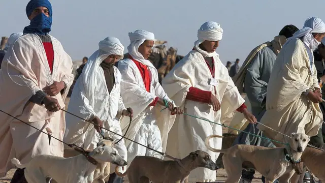 ट्यूनीशिया