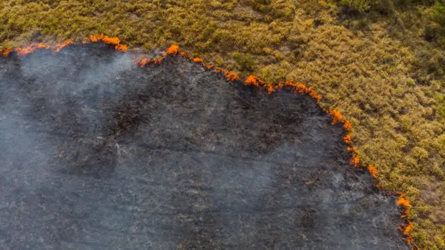 Imagem de incêndio florestal realizado por drone