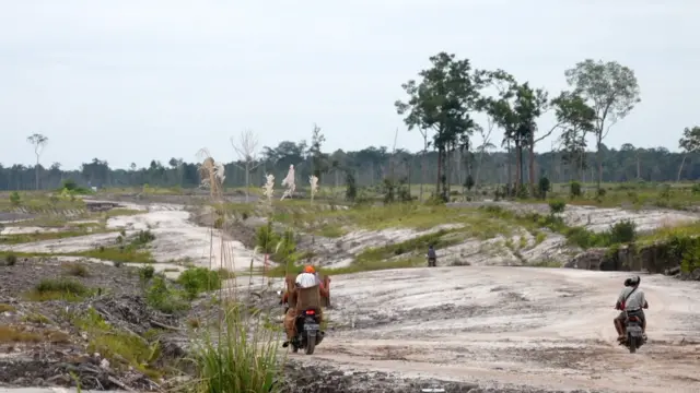 Presiden Jokowi menggagas program food estate. Namun, ribuan hektare gagal berproduksi