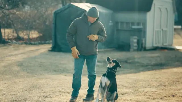 গ্রেগ স্কয়ার তার কুকুরের সাথে তার বাড়ির কাছে হাঁটতে বের হচ্ছে - তিনি কালো, সাদা এবং বাদামী রঙের কুকুরটির দিকে তাকিয়ে আছে, কুকুরটি তার দিকে তাকিয়ে আছে।