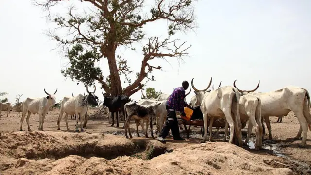 wani mutum na ban ruwa