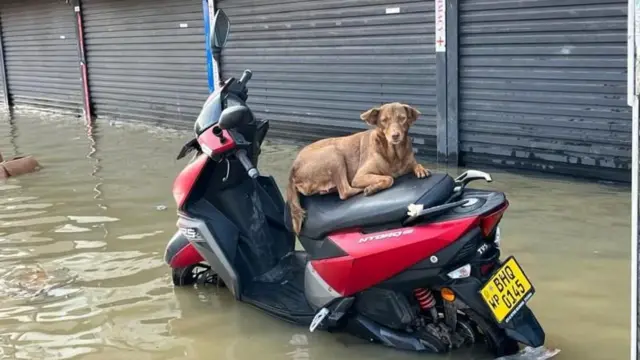 ਸ਼੍ਰੀਲੰਕਾ