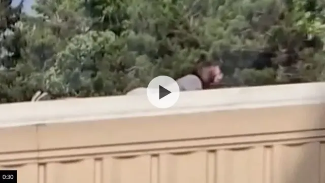 Gurbicha baaxiirratti