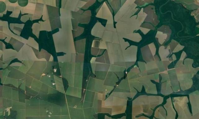 Vista aérea de fazendas de soja no município de Sorriso (MT)