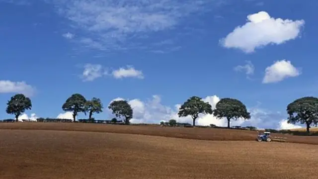 ਨਕਲੀ ਮੀਂਹ