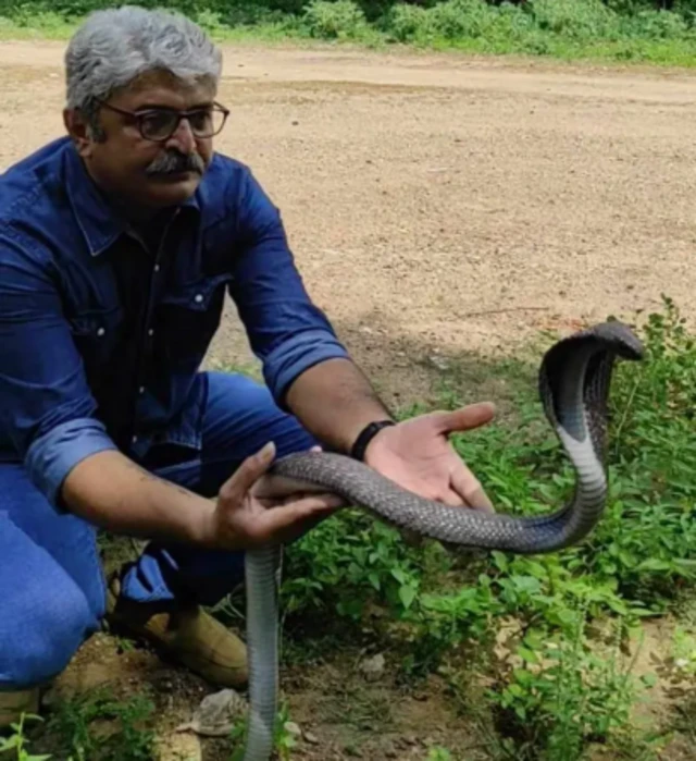 બીબીસી ગુજરાતી, ગુજરાતી, બીબીસી, અમદાવાદ, સાપ, ઝેર, 