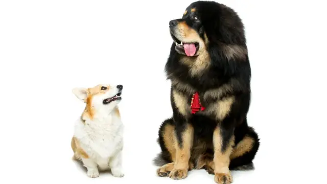 Размер - далеко не главное