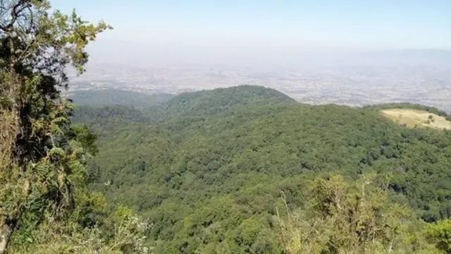 Bosona Jibaat
