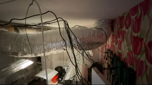 Sistema de ventilación y cableado que los delincuentes instalaron en la casa de Reeves