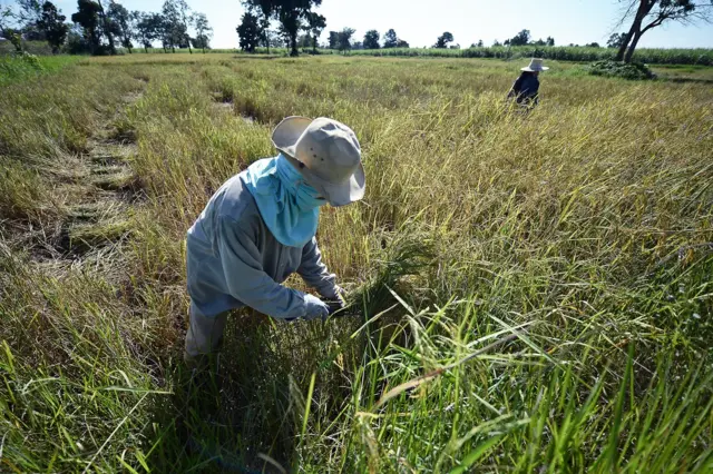 เศรษฐกิจ ไทย แบงค์ชาติ