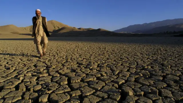 پاکستان وچکالي