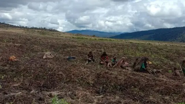 Warga Kabupaten Lanny Jaya, Papua, dipotret setelah gagal memanen hasil kebun mereka yang terserang cuaca ekstrem.