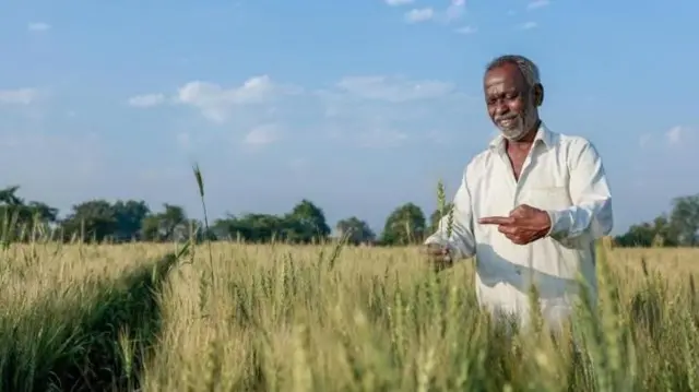 प्रातिनिधिक फोटो