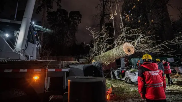 авто, дерево