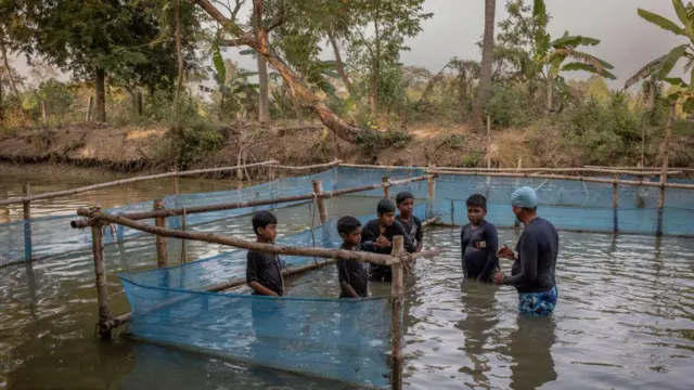 స్విమ్మింగ్ క్లాస్‌లు