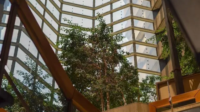 जोहानिसबर्ग की एक इमारत