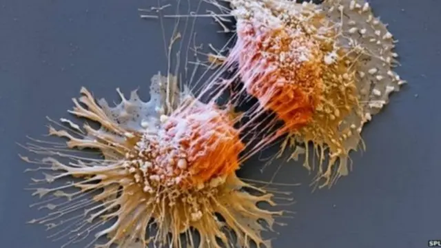 जीनोमिक चिकित्सा, जीन संपादन, नौकरियां, रोज़गार संभावना