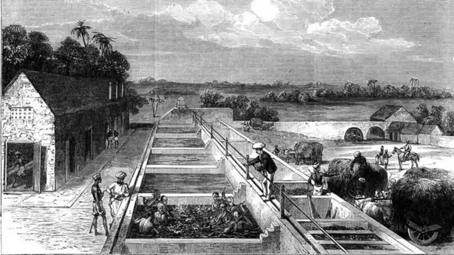 नीळ उत्पादन