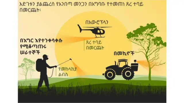 የጸረ አንበጣ መድኃኒት ለመርጨት ያሉ አማራጮች