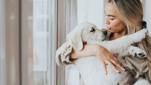 Mulher segurando cachorro