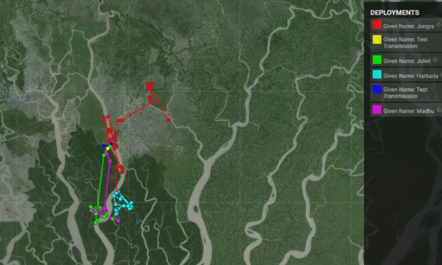 স্যাটেলাইট ট্যাগ লাগানো কুমিরগুলোর অবস্থান