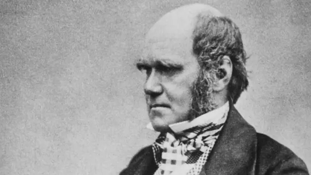 Charles Darwin fits the perception of bald men as intelligent, high-status and influential