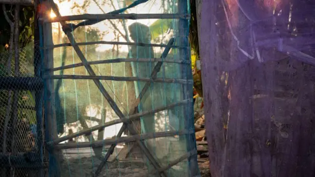 तालाब के आसपास बाड़ेबंदी.