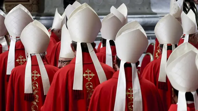 cardenales de espalda