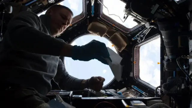 Des bactéries et des champignons capables de survivre dans des conditions extrêmes ont été découverts dans la Station spatiale internationale malgré les efforts déployés pour la garder propre.