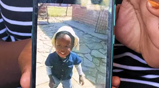 కుక్కల దాడి