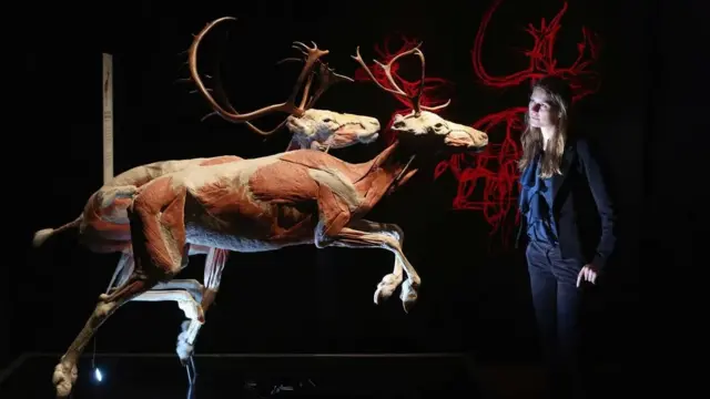 பரிணாம வளர்ச்சி