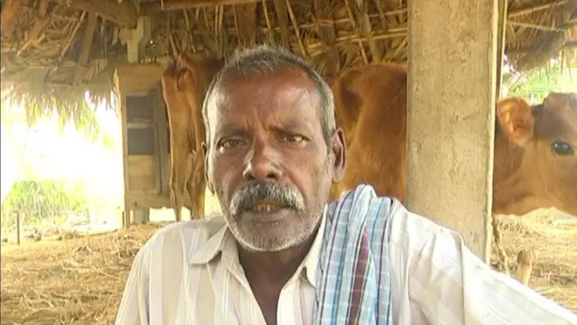 ఆవుపై దాడి