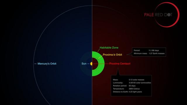 Орбита планеты Проксима b лежит в зоне обитаемости у звезды Проксима Центавра.