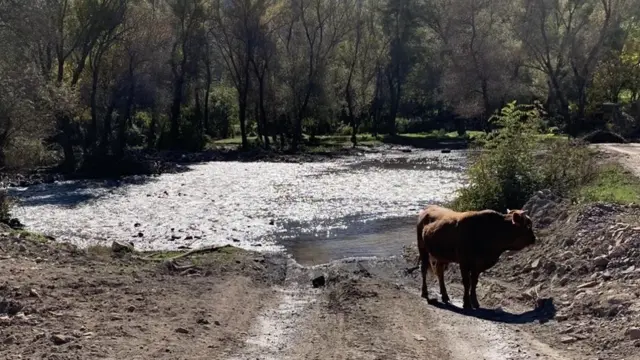 Ситуация в Карабахе