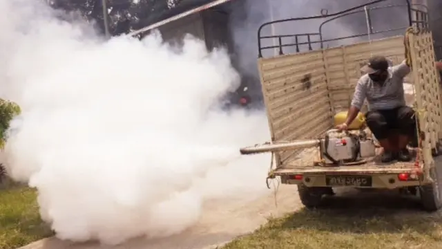 डेङ्गी नियन्त्रण