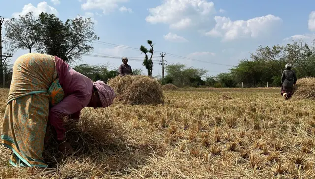 மத்திய அரசின் விவசாயத் திட்டங்கள்